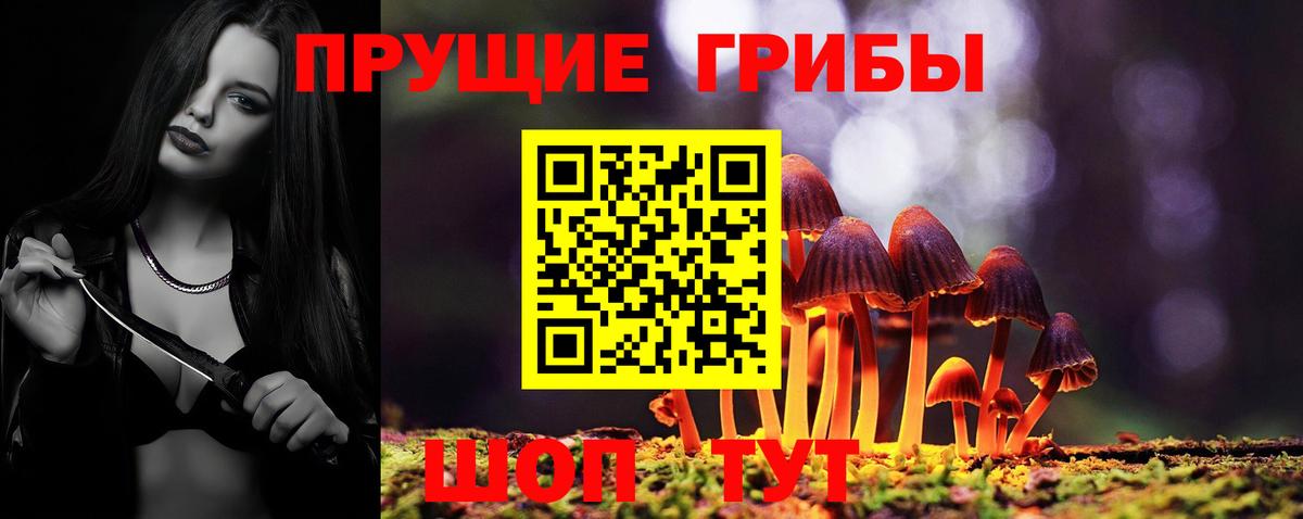 Галлюциногенные грибы MAGIC MUSHROOMS Унеча