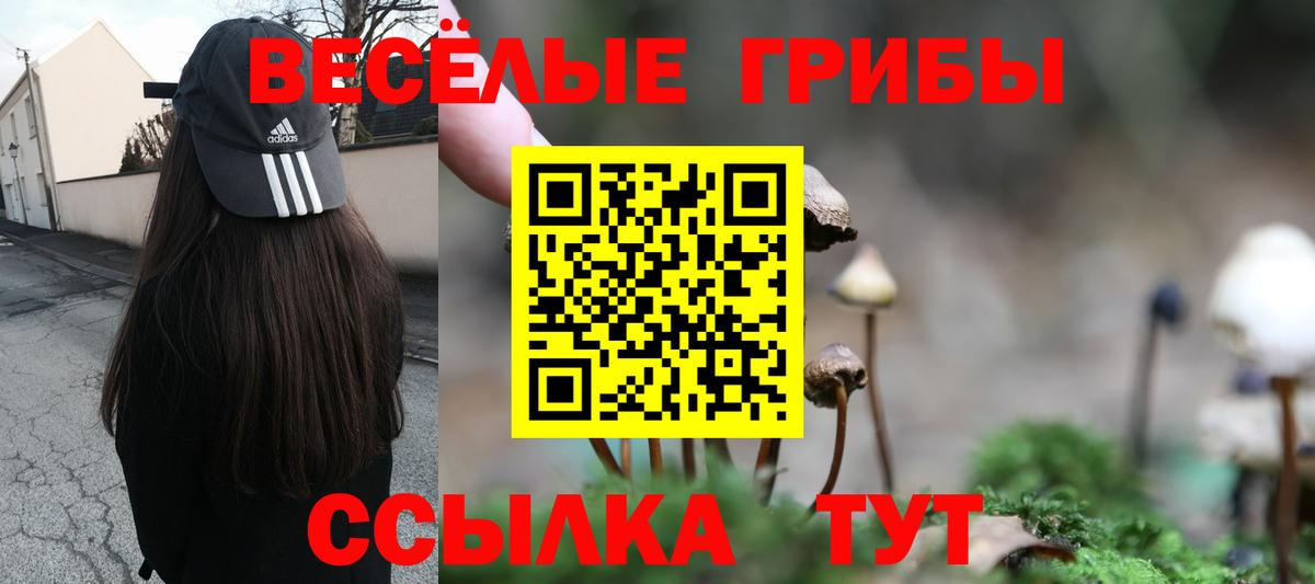 хочу наркоту  Галлюциногенные грибы ЛСД  Вход с VPN  Унеча 